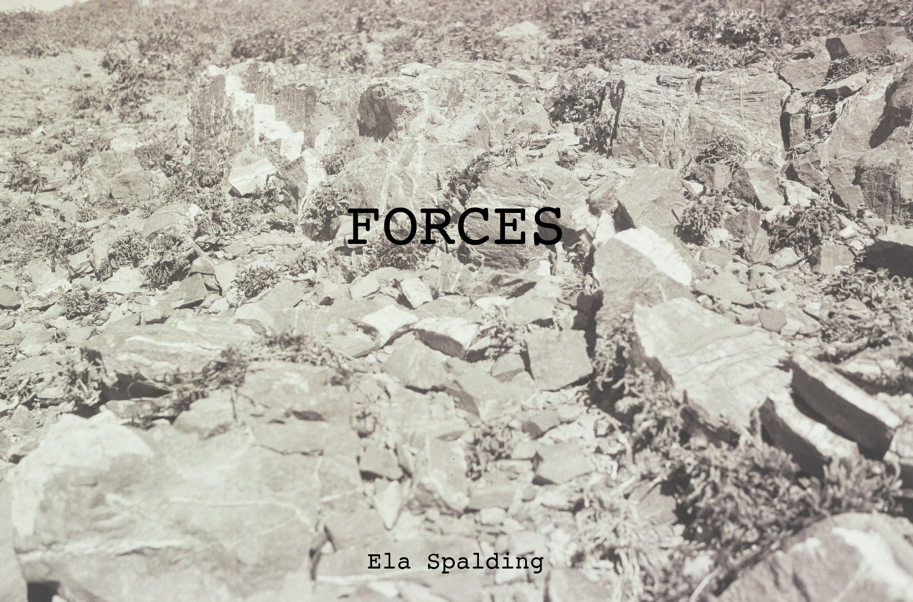 Ela Spalding - Forces album cover art